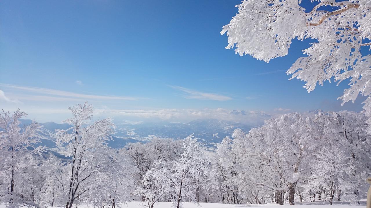 Готель Nozawa Dream Екстер'єр фото