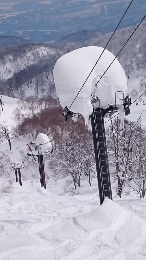 Готель Nozawa Dream Екстер'єр фото