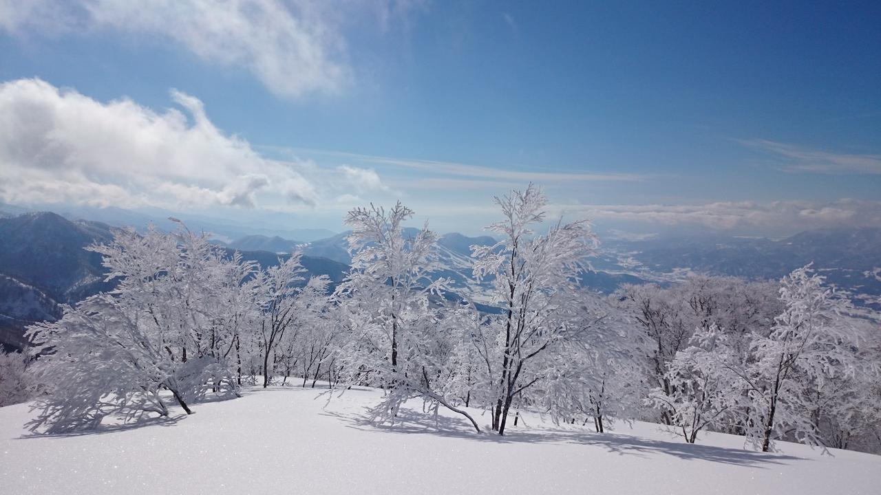Готель Nozawa Dream Екстер'єр фото