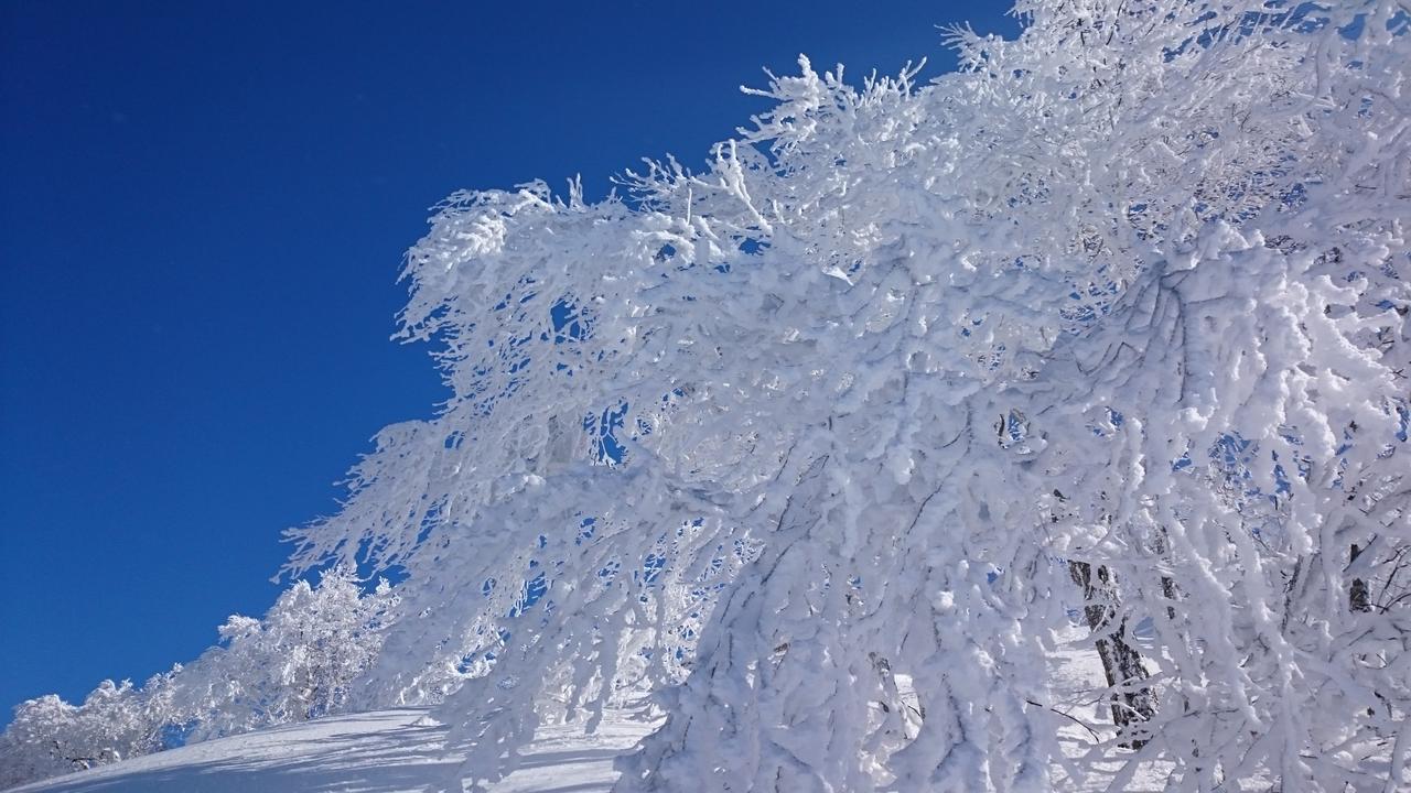Готель Nozawa Dream Екстер'єр фото