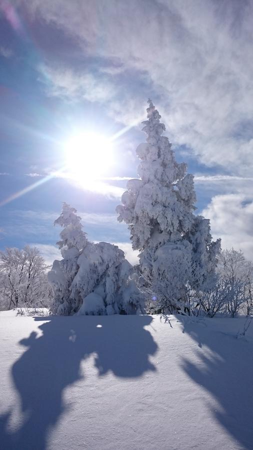 Готель Nozawa Dream Екстер'єр фото